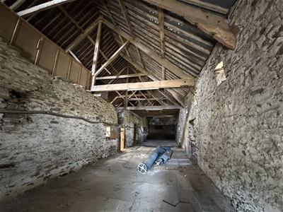 Picture 29